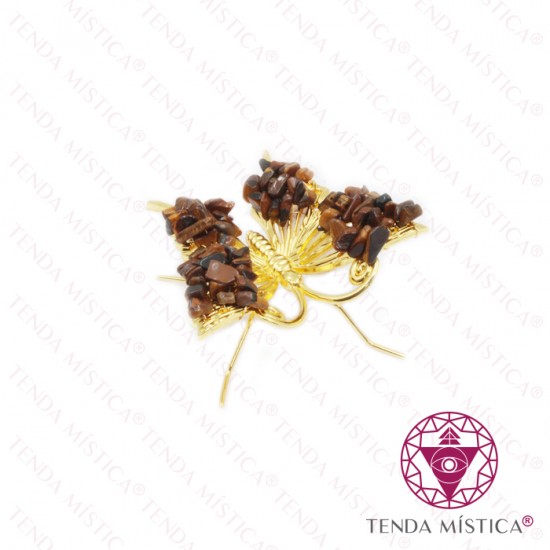 Borboleta Dourada Olho de Tigre