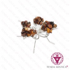 Borboleta Prateada Olho de Tigre