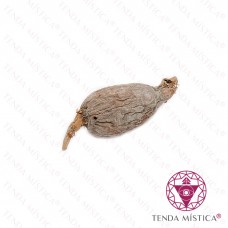 Fava de Ataré