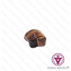 Tartaruga Olho de Tigre