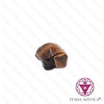 Tartaruga Olho de Tigre