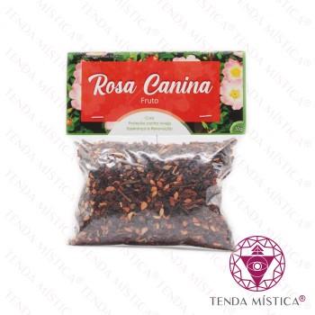 Rosa Canina