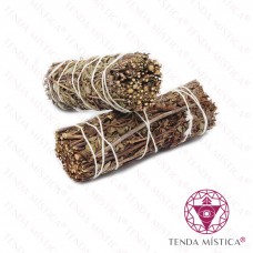 Tocha Sálvia Real