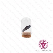 Frasco de Vidro Titânio 