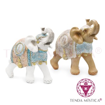 Conj. Elefantes Branco & Castanho