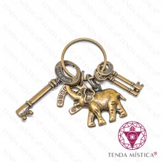 Cinco Saimão Elefante