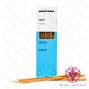 Incenso Nirvana Natural Proteção