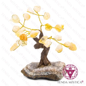 Árvore Pedra Bruto 8 ramos Citrino 12 cm