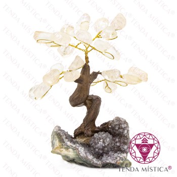 Árvore Pedra Bruto 8 ramos Quartzo Cristal 12 cm