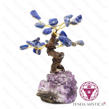 Árvore Pedra Bruto 8 ramos Sodalite 12 cm