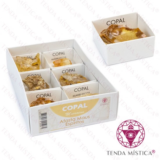 Caixas 4X4 Copal 6Unid